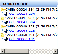 court_detail_panel.jpg